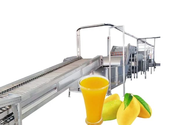 Fruit Conveyor